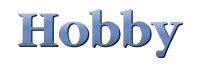 Hobby Logo 