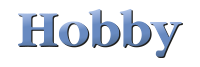 Hobby Logo
